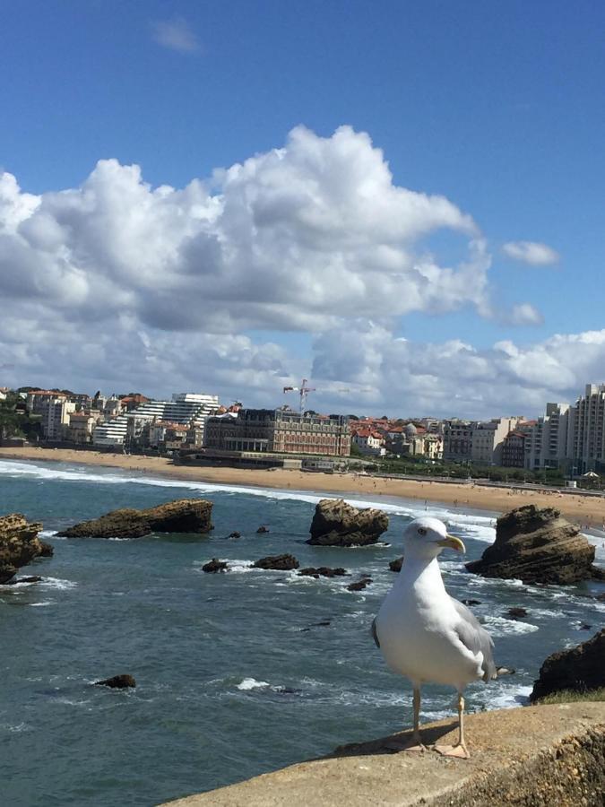 Charmant T2 Biarritz Centre Exterior foto